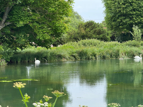 An early summer outing to The Vyne